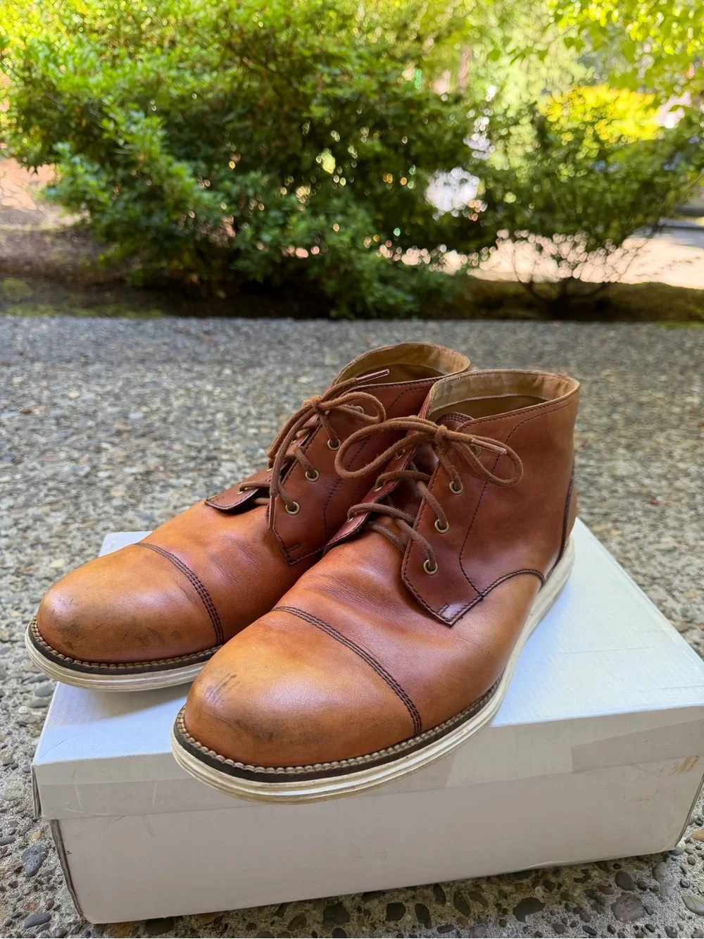 Cole Haan Original Grand Chukka Boot Mens 12 M Oxford Brown Leather